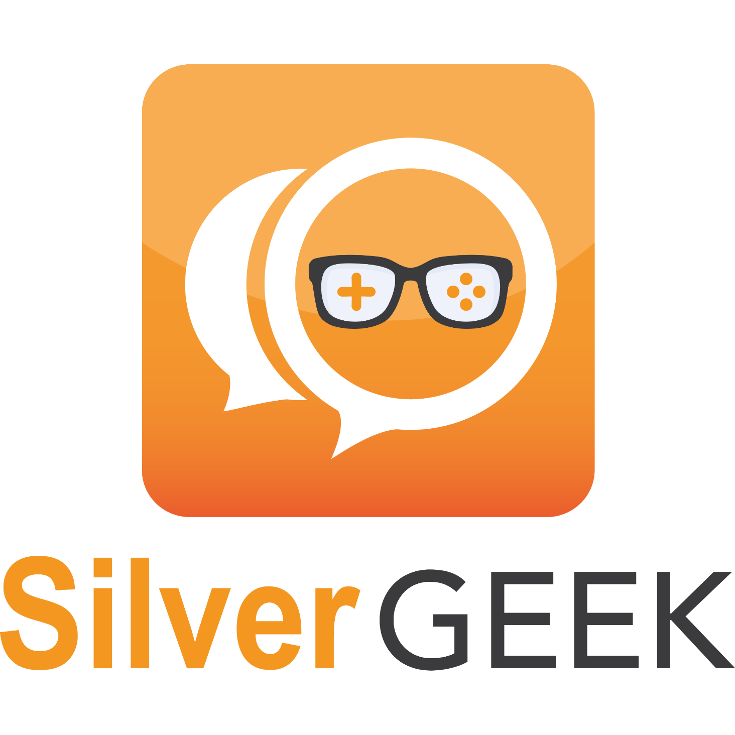 SILVER GEEK