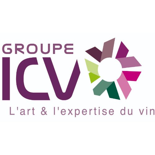 Groupe ICV