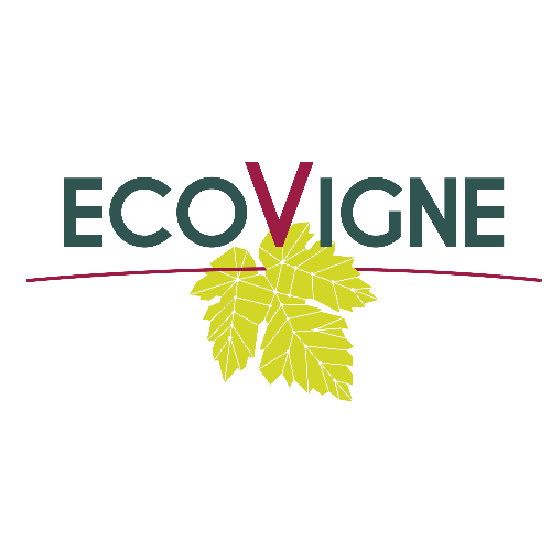 ECOVIGNE