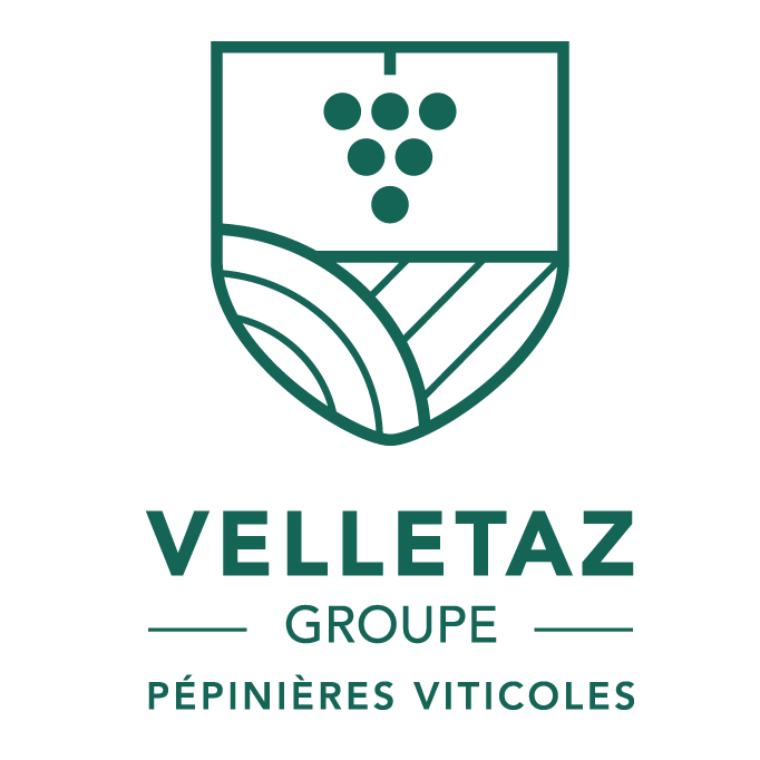 PEPINIERES VITICOLES VELLETAZ GROUPE