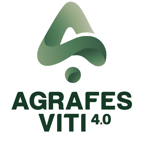 AGRAFES VITI 4.0