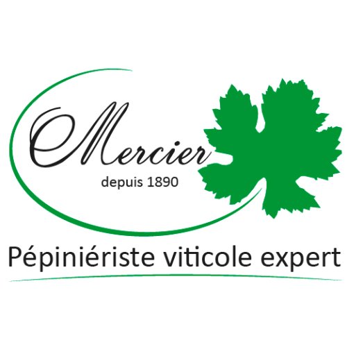 PEPINIERE VITICOLE MERCIER