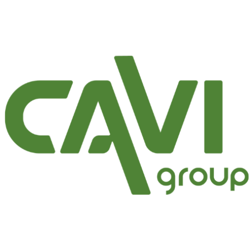 CAVI GROUP