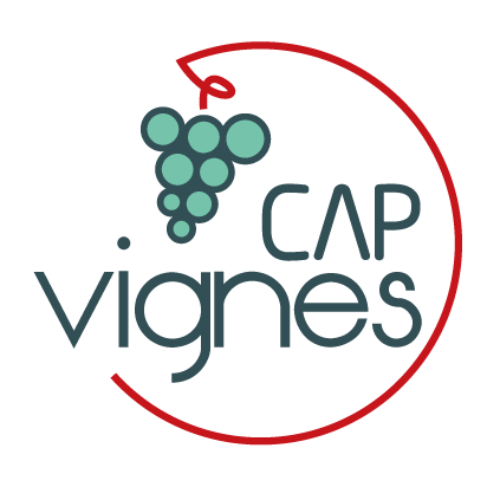 CAP VISION - CAP VIGNES