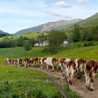 TABLE RONDE 3 - Agriculture et coopération transfrontalière : relever les défis de la montagne avec l'Europe