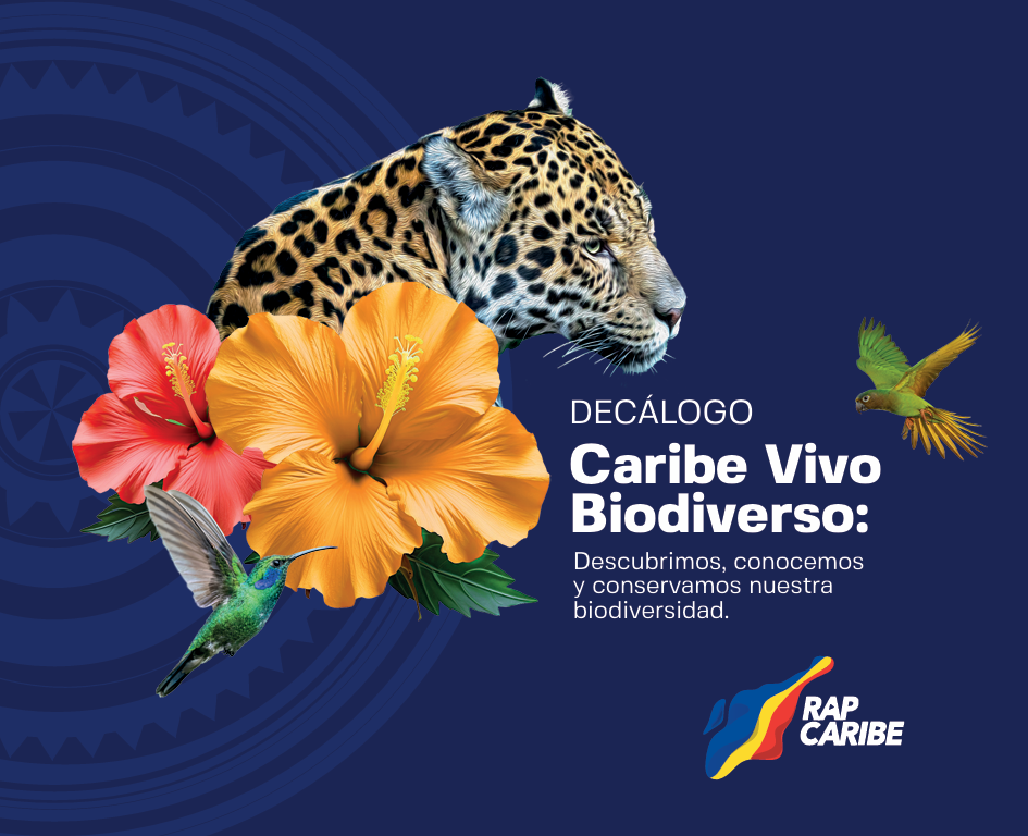 Caribe Vivo Biodiverso: Advancing sustainable local economic development through institutional public-private alignment.