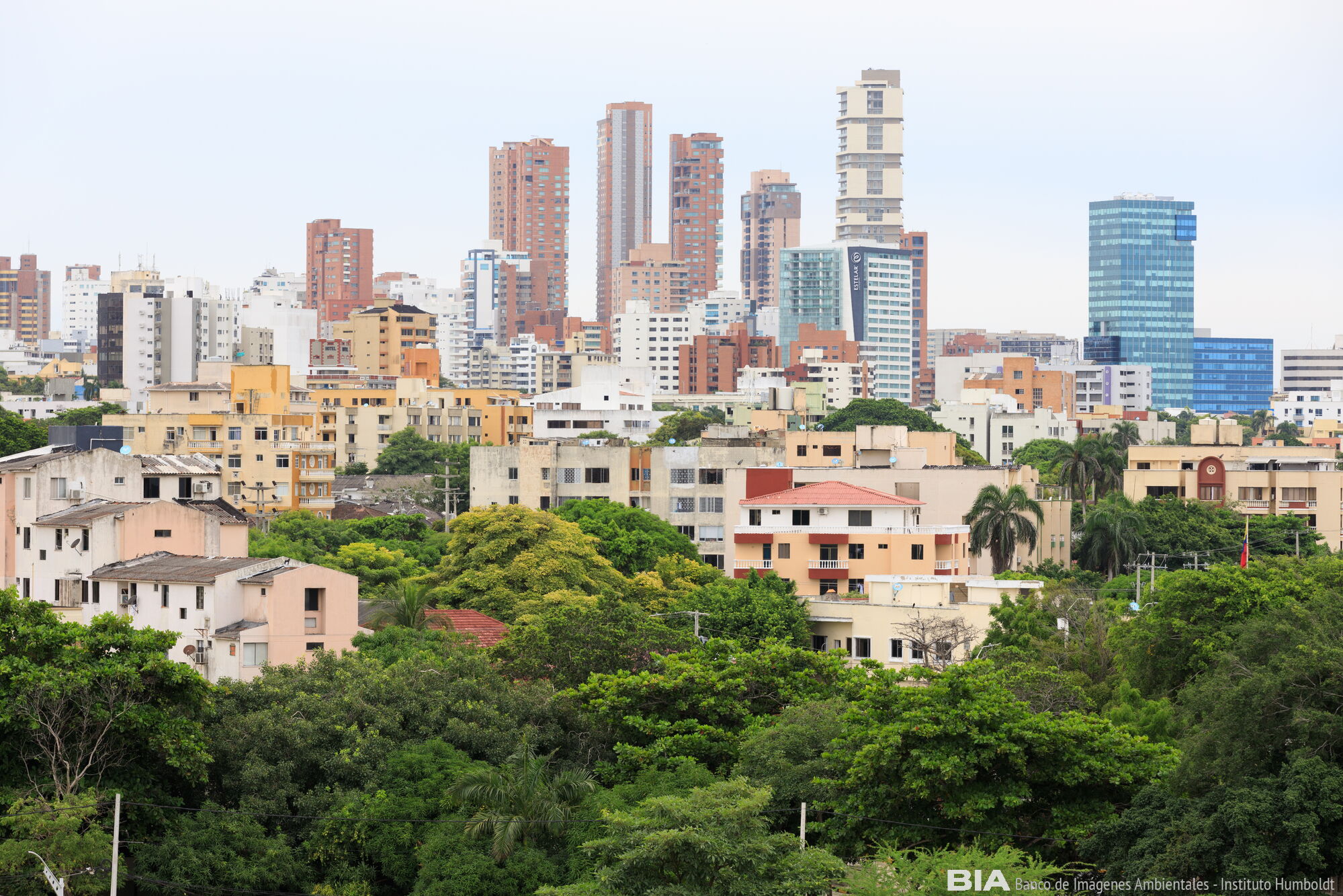 BiodiverCities: Perspectives from Local Governments