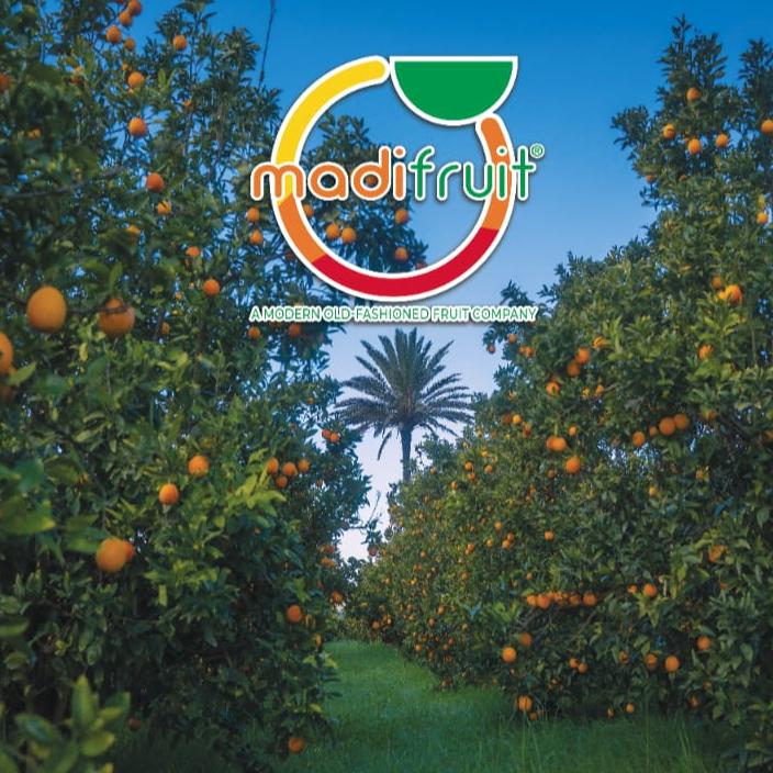 MADI FRUIT SRL