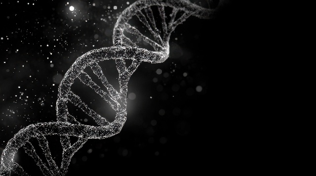 Samedi 13 décembre 2025 de 14h30 à 16h