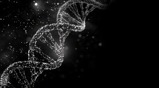 Samedi 13 décembre 2025 de 14h30 à 16h