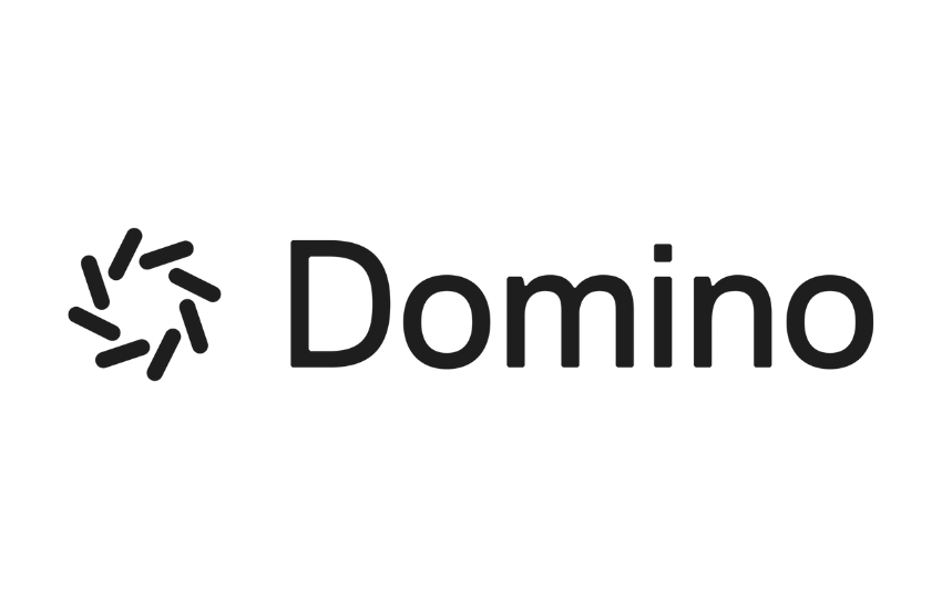 DOMINO DATA LAB