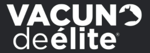 Vacuno de élite