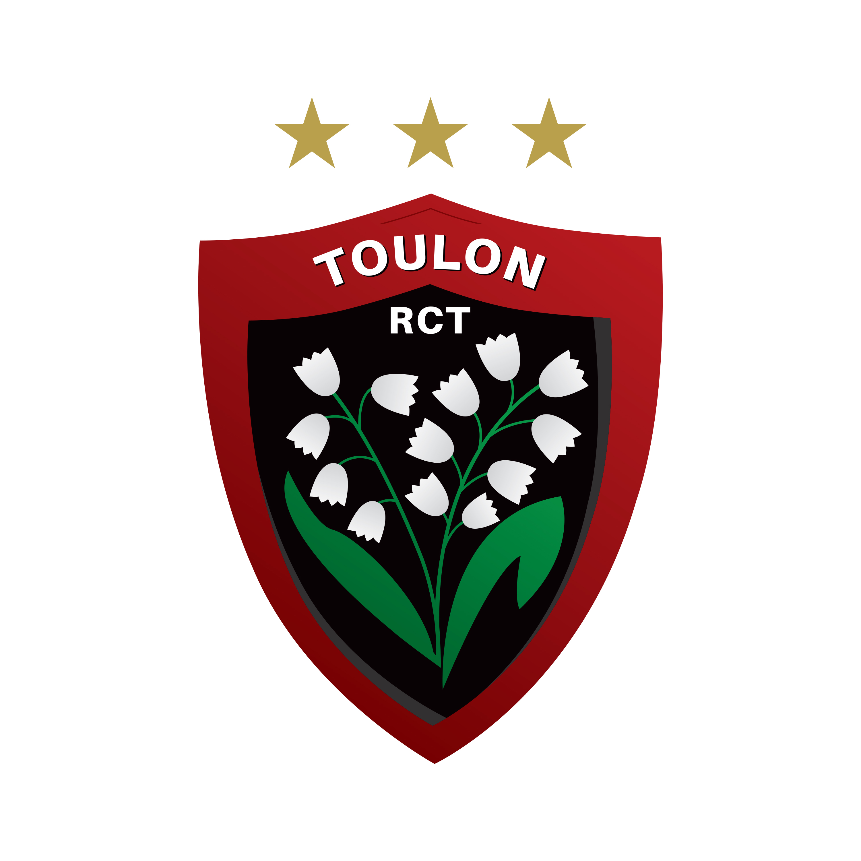 RUGBY CLUB TOULONNAIS
