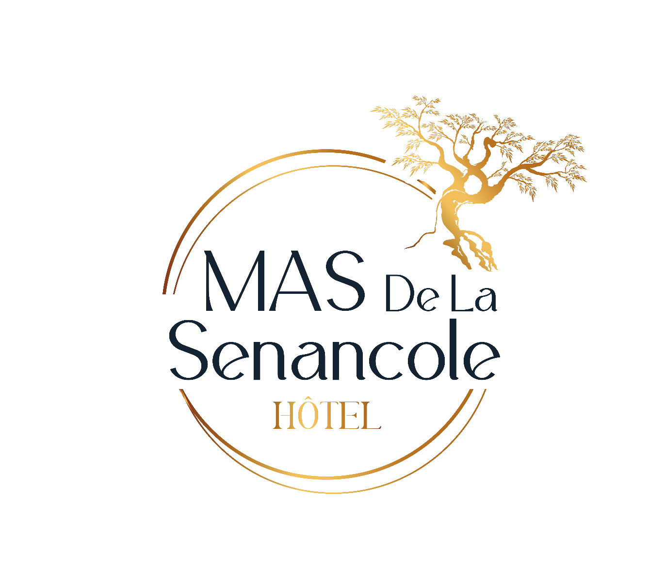 MAS DE LA SENANCOLE & SPA
