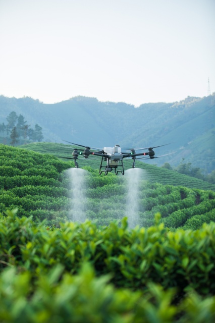 Spraying Drone - Agras T50