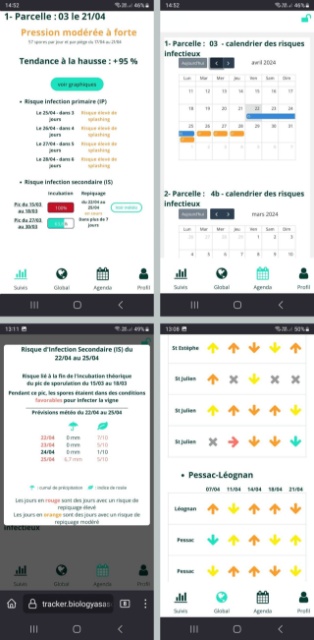 BaaSTracker : downy mildew early detection and forecasting network