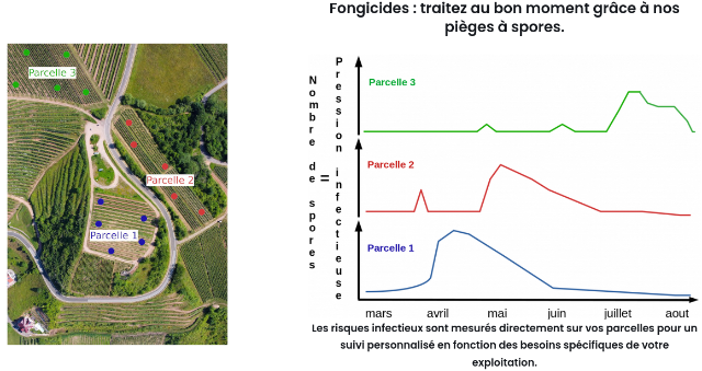 Monitoring of airborne spores of fungal diseases in vineyards