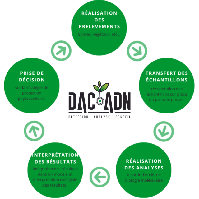 DSS « DAC ADN »