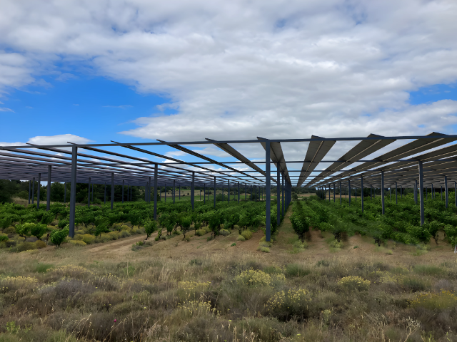 Ombrières agricoles photovoltaïques pour vignes avec filets anti-grêle 