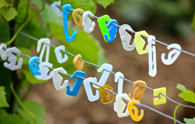 Nos différentes gammes d'agrafes à vigne