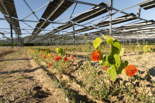 Agrivoltaïsme dynamique