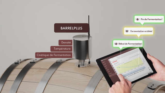 Barrelplus - Système de Surveillance De La Fermentation | pour barriques