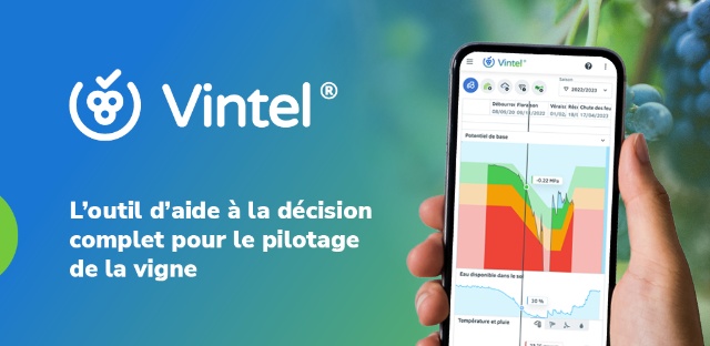 Vintel