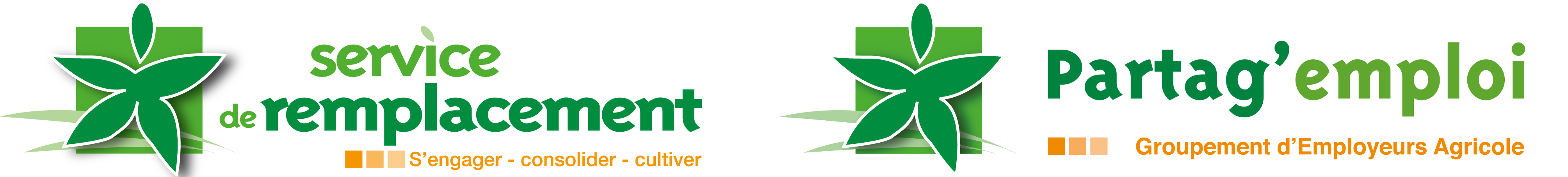 Finistère Remplacement / Partag'Emploi