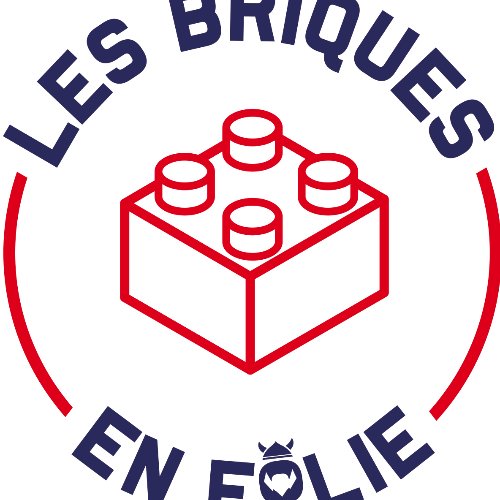 LES BRIQUES EN FOLIE