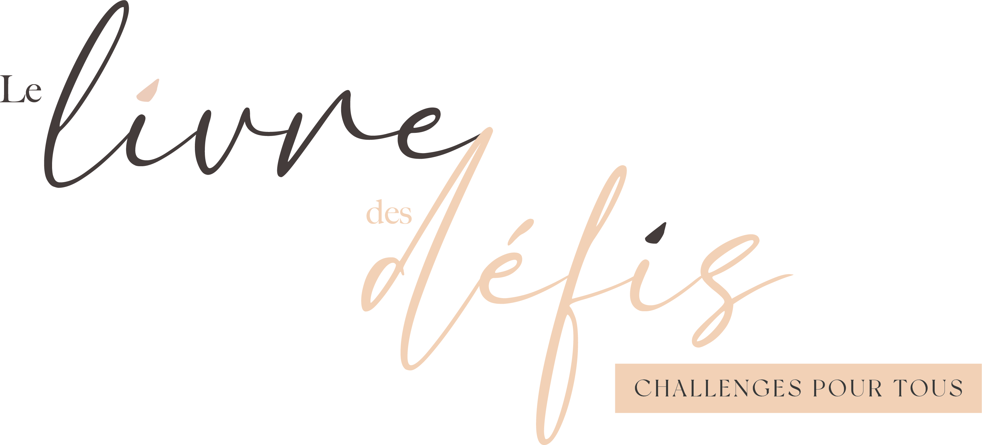 LE LIVRE DES DEFIS