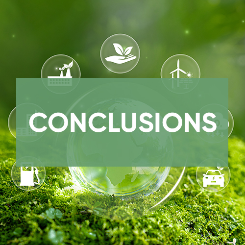 CONCLUSIONS ET PERSPECTIVES