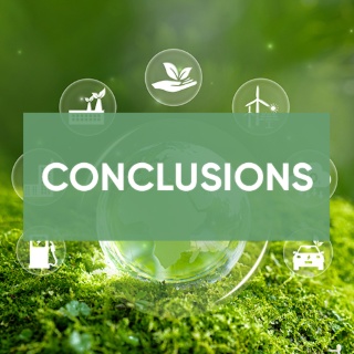 CONCLUSIONS ET PERSPECTIVES