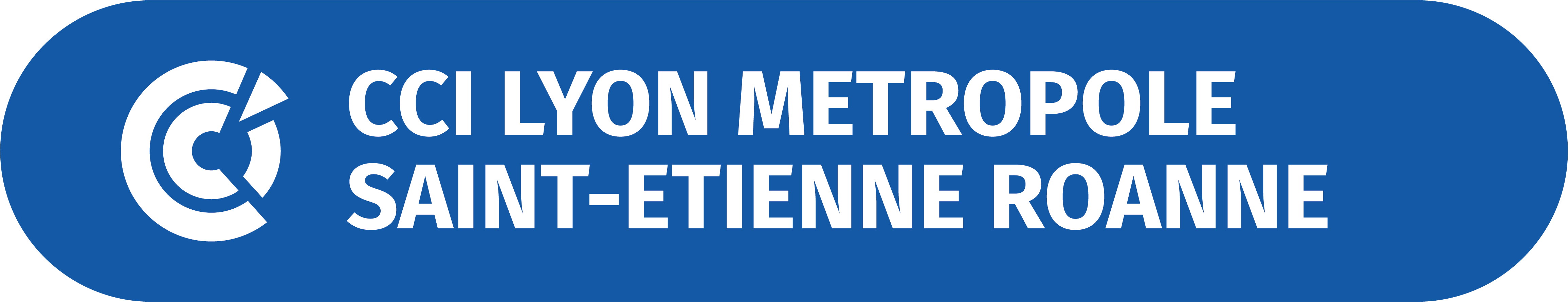 CCI Lyon Métropôle Saint-Étienne Roanne