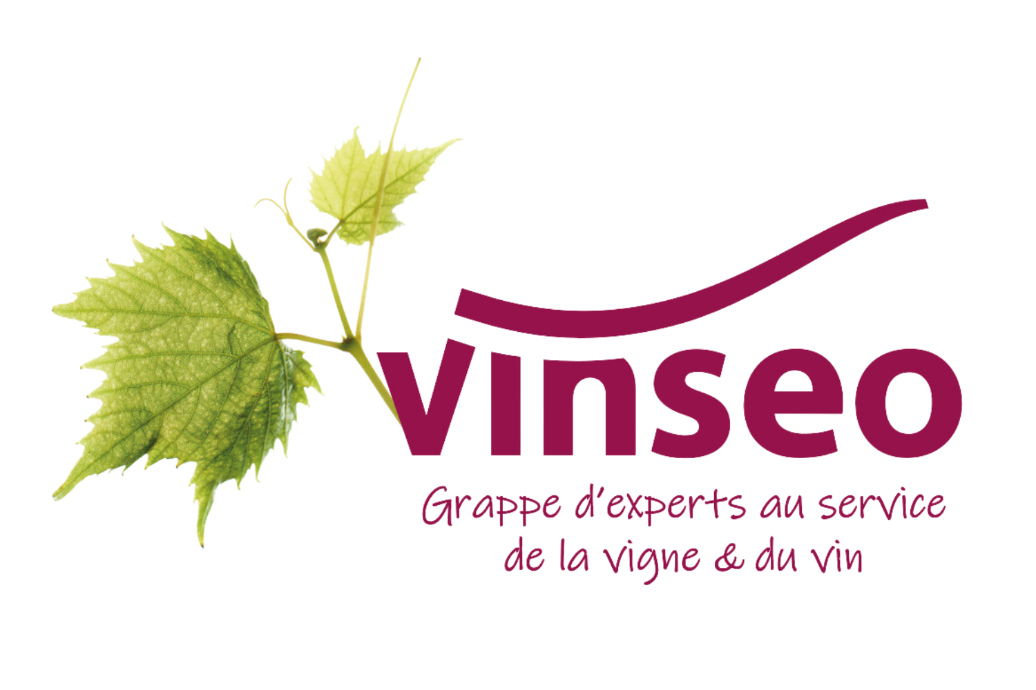 VINSEO