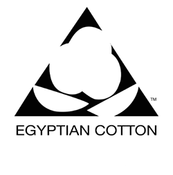 Cotton Egypt Association