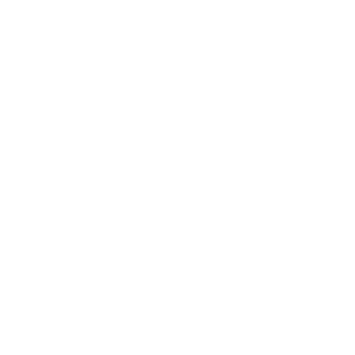 Cadica