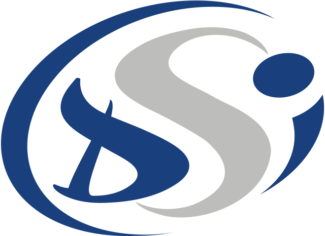 Groupe DSI