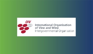 Sales statistics and trends in sparkling wine consumption patterns