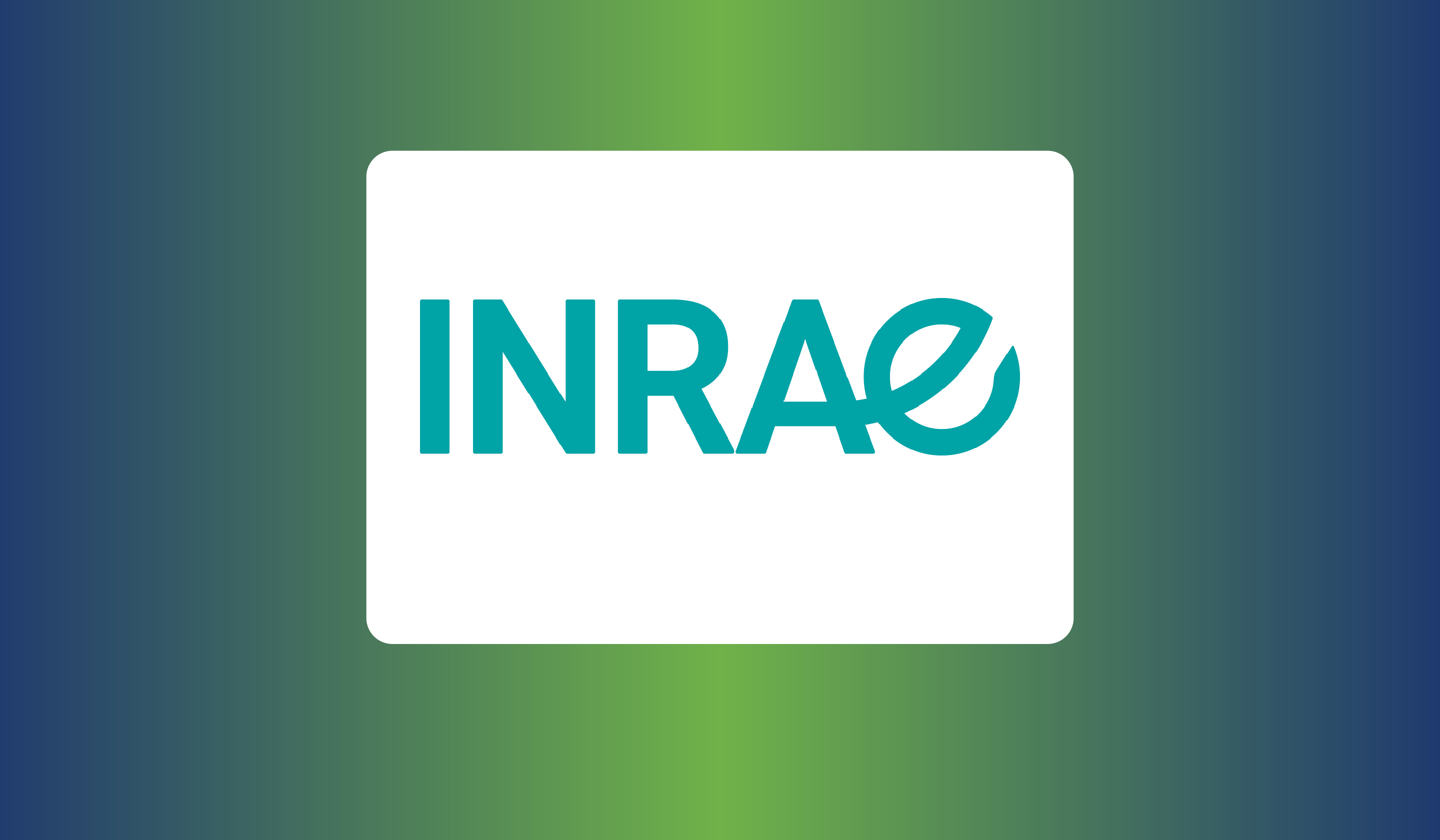 Stratégie d'innovation variétale : cépages résistants et enjeux pour la production de vins effervescents