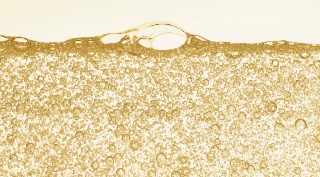 ROUND TABLE: Consumer expectations and new uses: what are the keys to recovery?