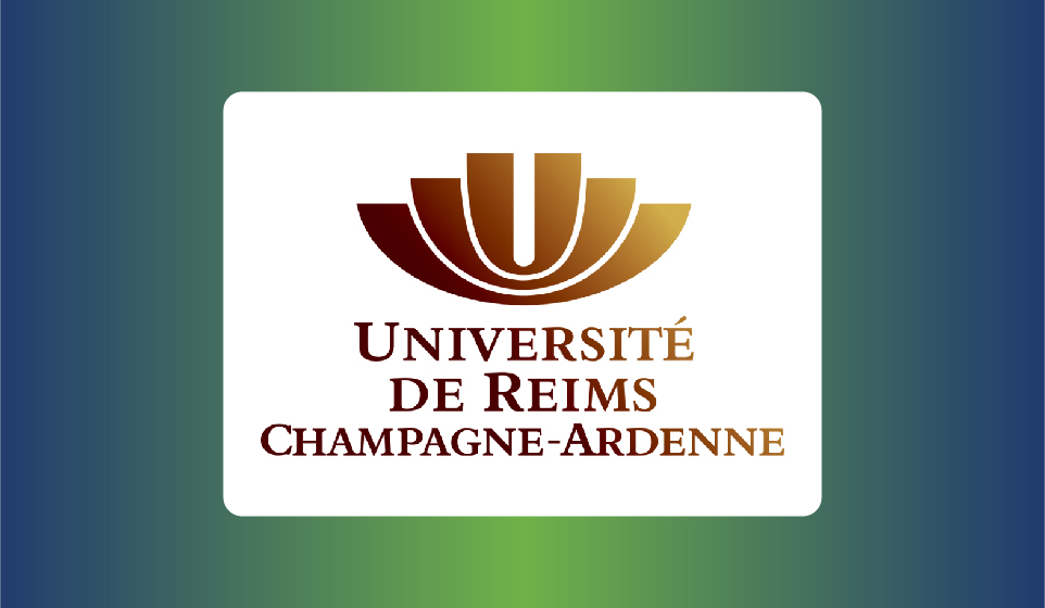 Du vignoble à la valeur ajoutée : stratégies pour les vignerons champenois