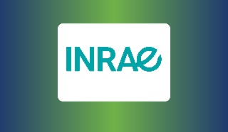 Varietal innovation strategy: resistant grape varieties and challenges for sparkling wine production