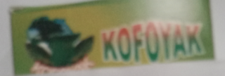 Kofoyak