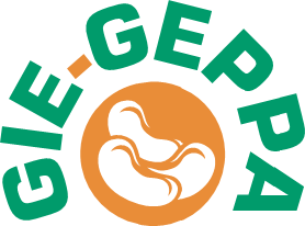GIE-GEPPA