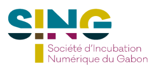 Société d'Incubation Numérique du Gabon