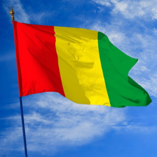 Mission Permanente de la Guinée auprès de la Francophonie