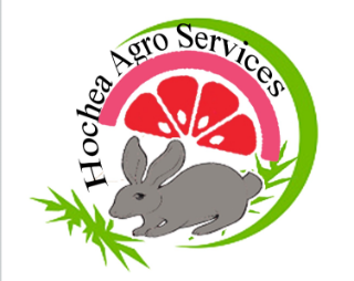 HOCHEA AGRO SERVICES