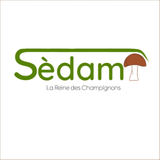 SEDAMI LA REINE DES CHAMPIGNONS