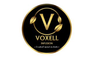 VOXELL Group