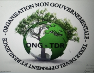 ONG Terre Développement et Résilience / Coopérative Gbèwèsso de transformation du Manioc de Za-Kpota